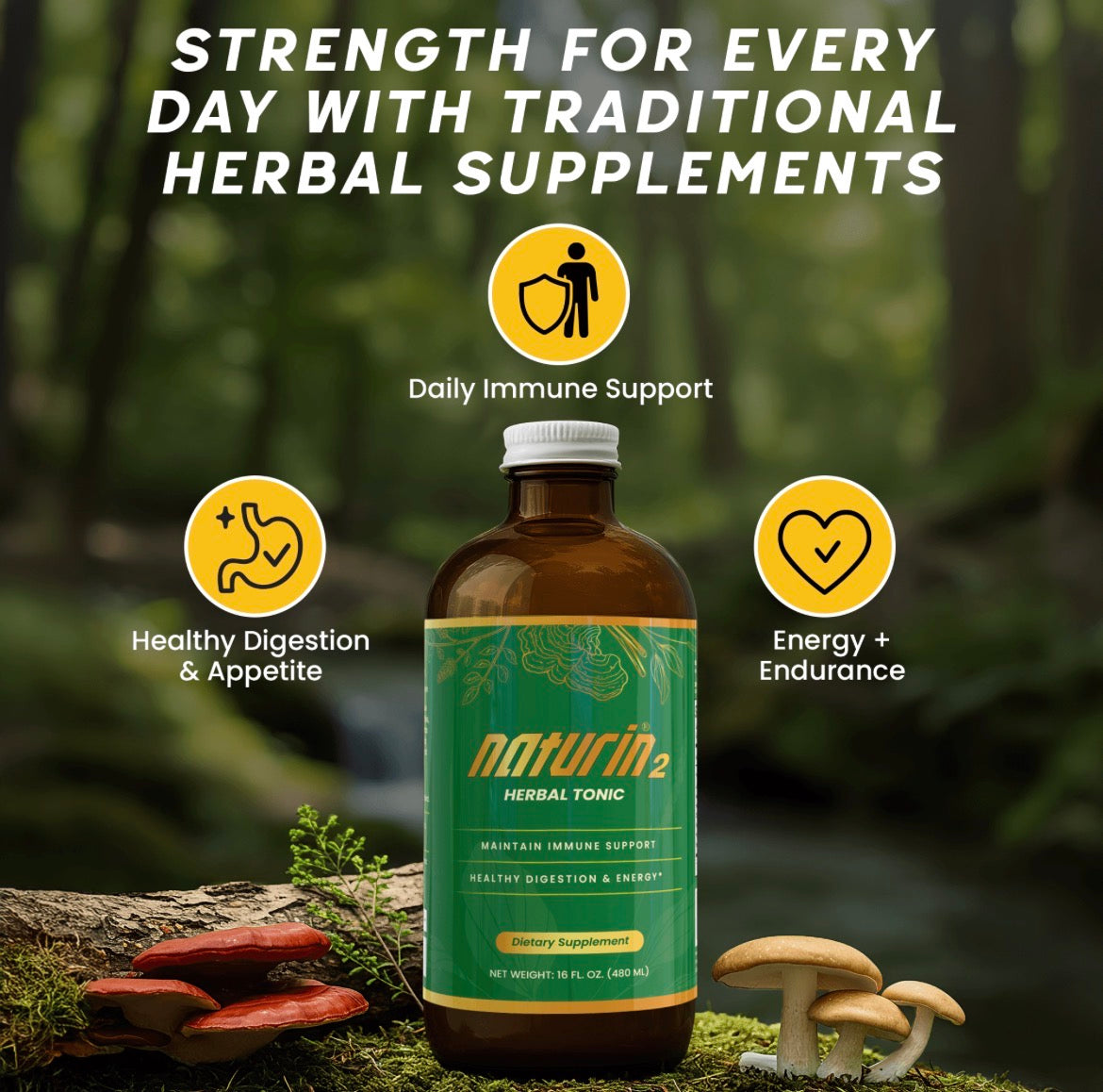 自然饮Naturin2 Herbal Supplement 16oz (480ml)