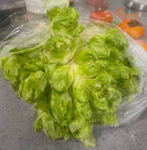 将图片加载到图库查看器，儿菜 3磅/份 （Bellevue实体店可零卖）
