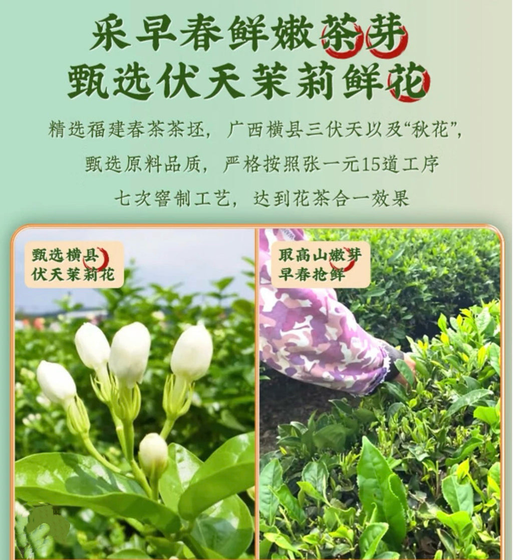 张一元 茶叶 顶级浓香茉莉花茶 莲花香雪100g/瓶