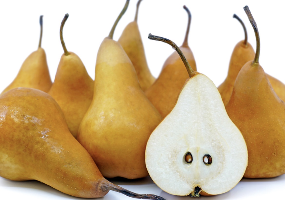 农场有机新鲜采摘西洋梨Bosc Pear 10磅/份