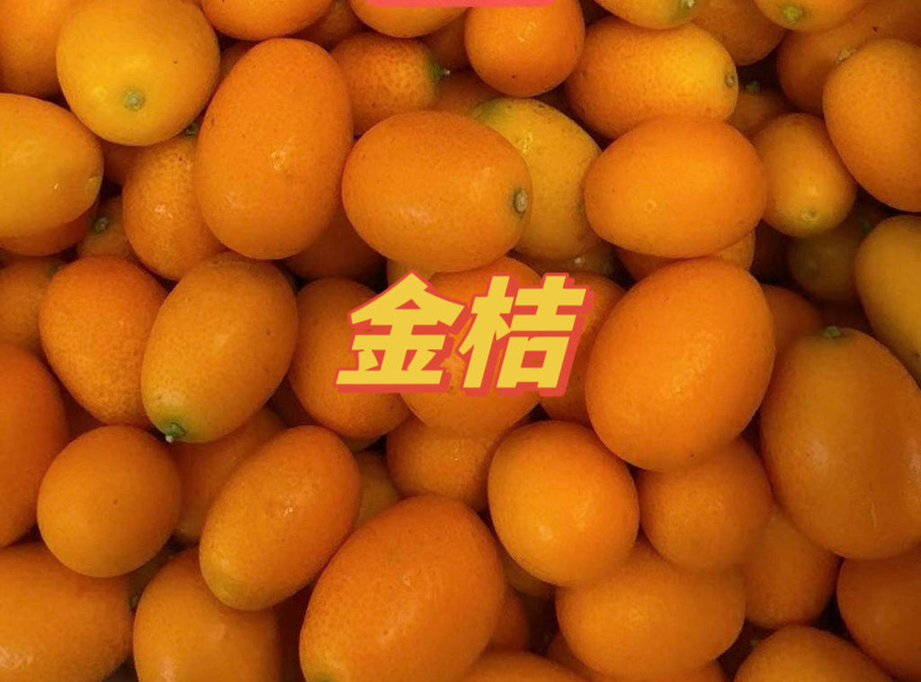 新鲜金桔 3 磅/份 有点酸味 泡水喝特别好