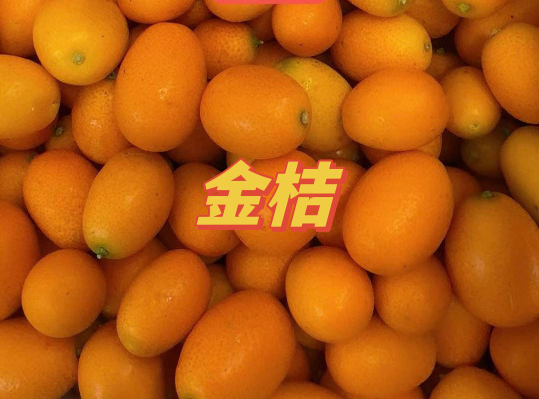 新鲜金桔 3 磅/份 有点酸味 泡水喝特别好