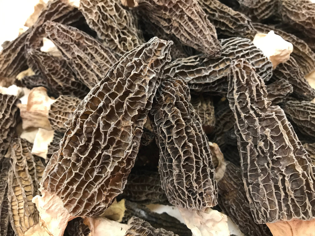 特级羊肚菌大号 半磅/包