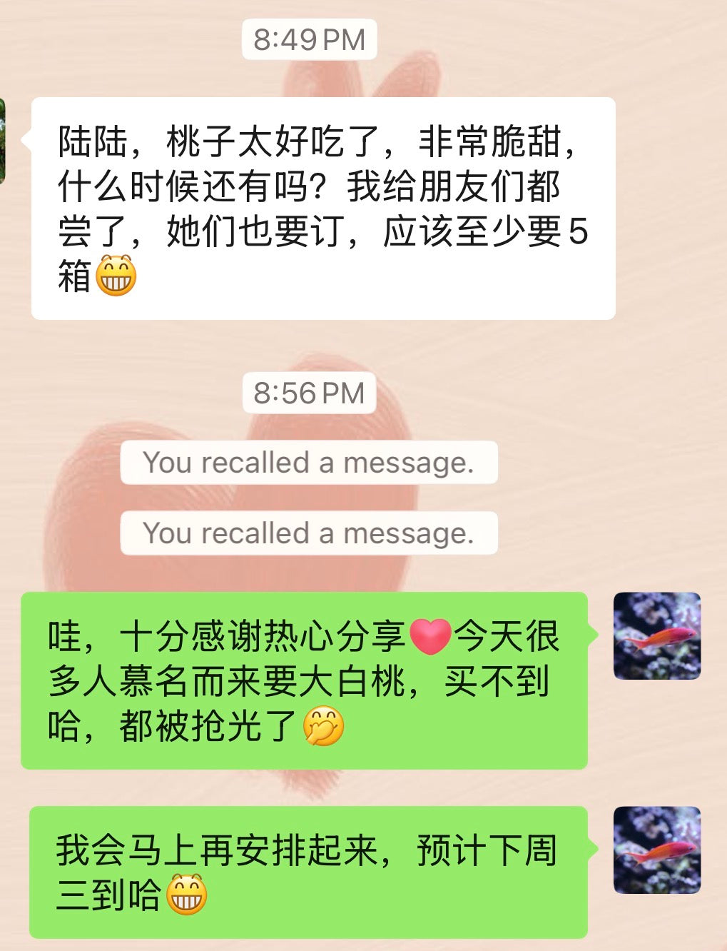 精品大白桃约十磅15-18个/箱