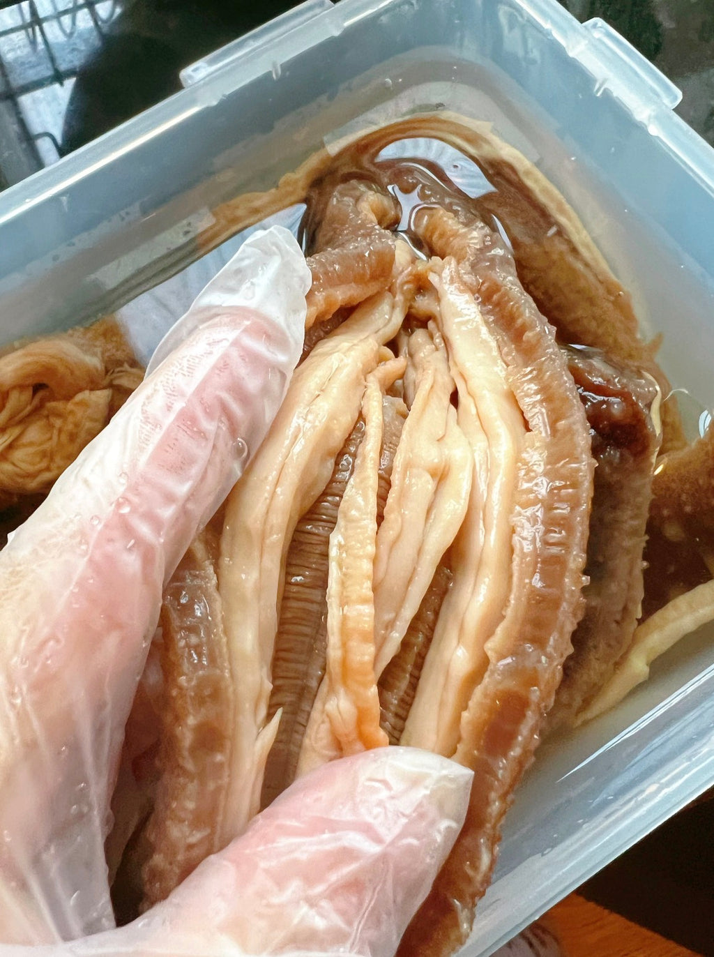 代泡发好 阿拉斯加红参 4条 1磅计 多退少补