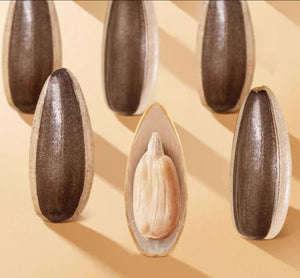 洽洽瓜子（五香味）
