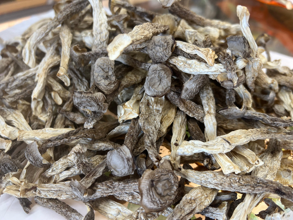 鹿茸菇 半磅/包