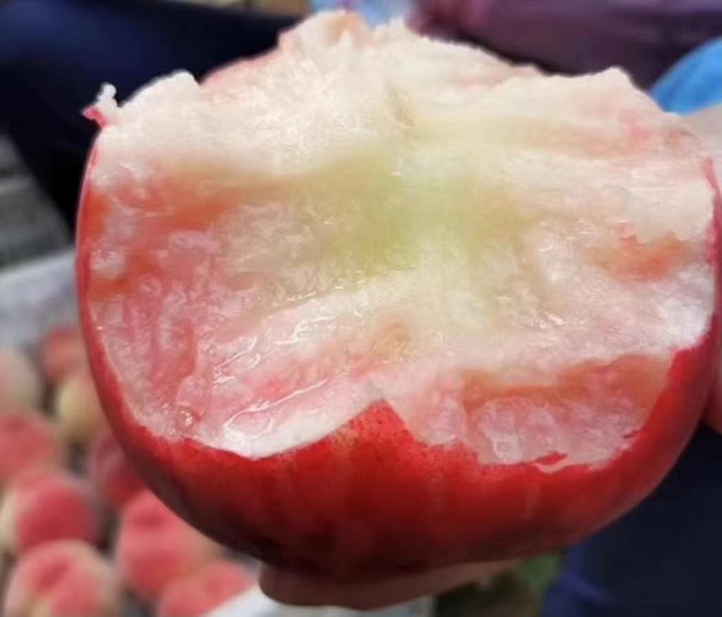 精品大白桃约十磅17-18个/箱