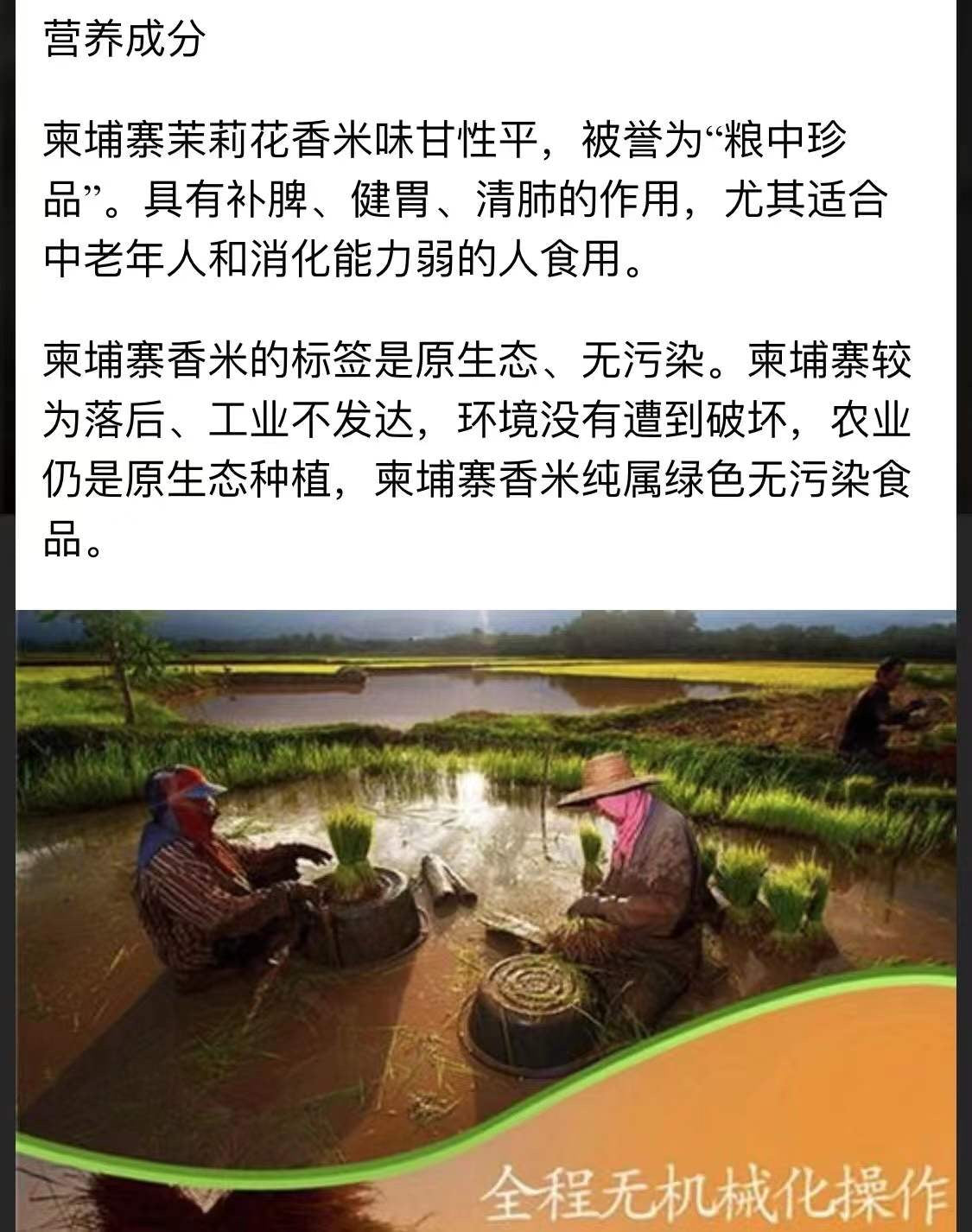 2026年新米 柬埔寨茉莉香米 25磅/袋
