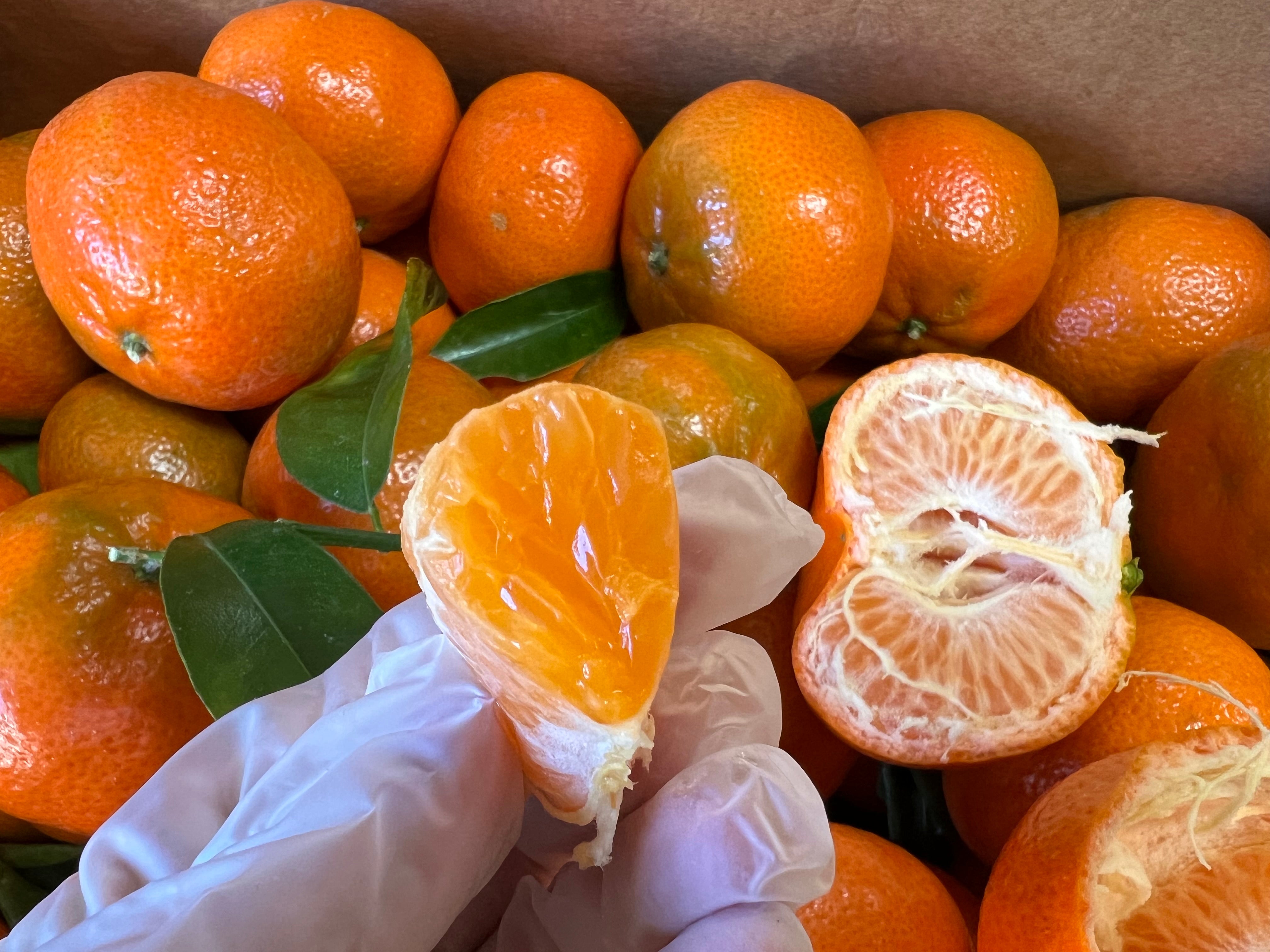 加州小蜜橘无籽🍊10磅/份（实体店可零卖）