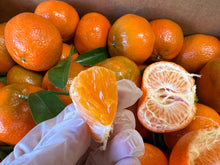 将图片加载到图库查看器，加州小蜜橘无籽🍊10磅/份
