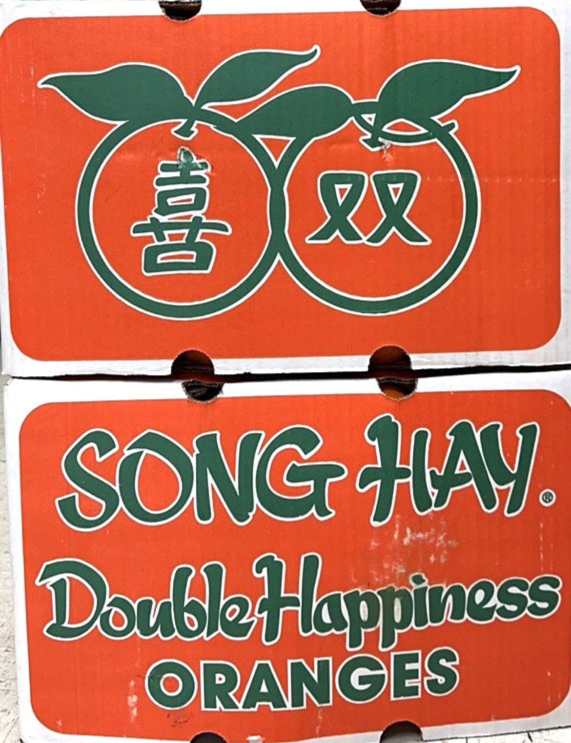 大双喜橙48-56个/箱约38-40磅（实体店可零卖）