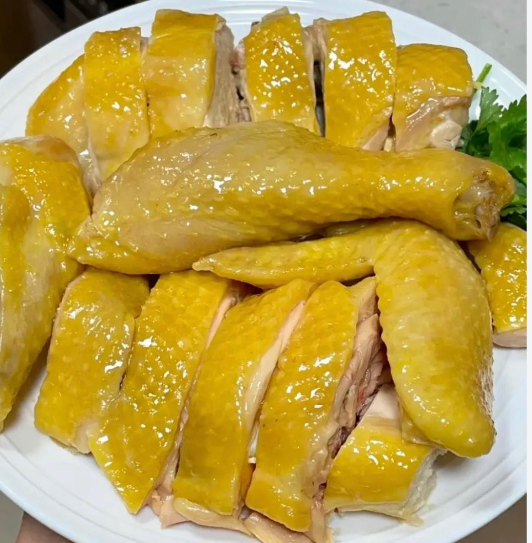 永利三黄母鸡