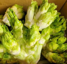 将图片加载到图库查看器，儿菜 3磅/份 （Bellevue实体店可零卖）
