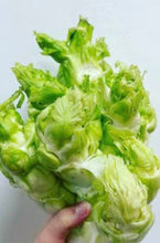 将图片加载到图库查看器，儿菜 3磅/份 （Bellevue实体店可零卖）
