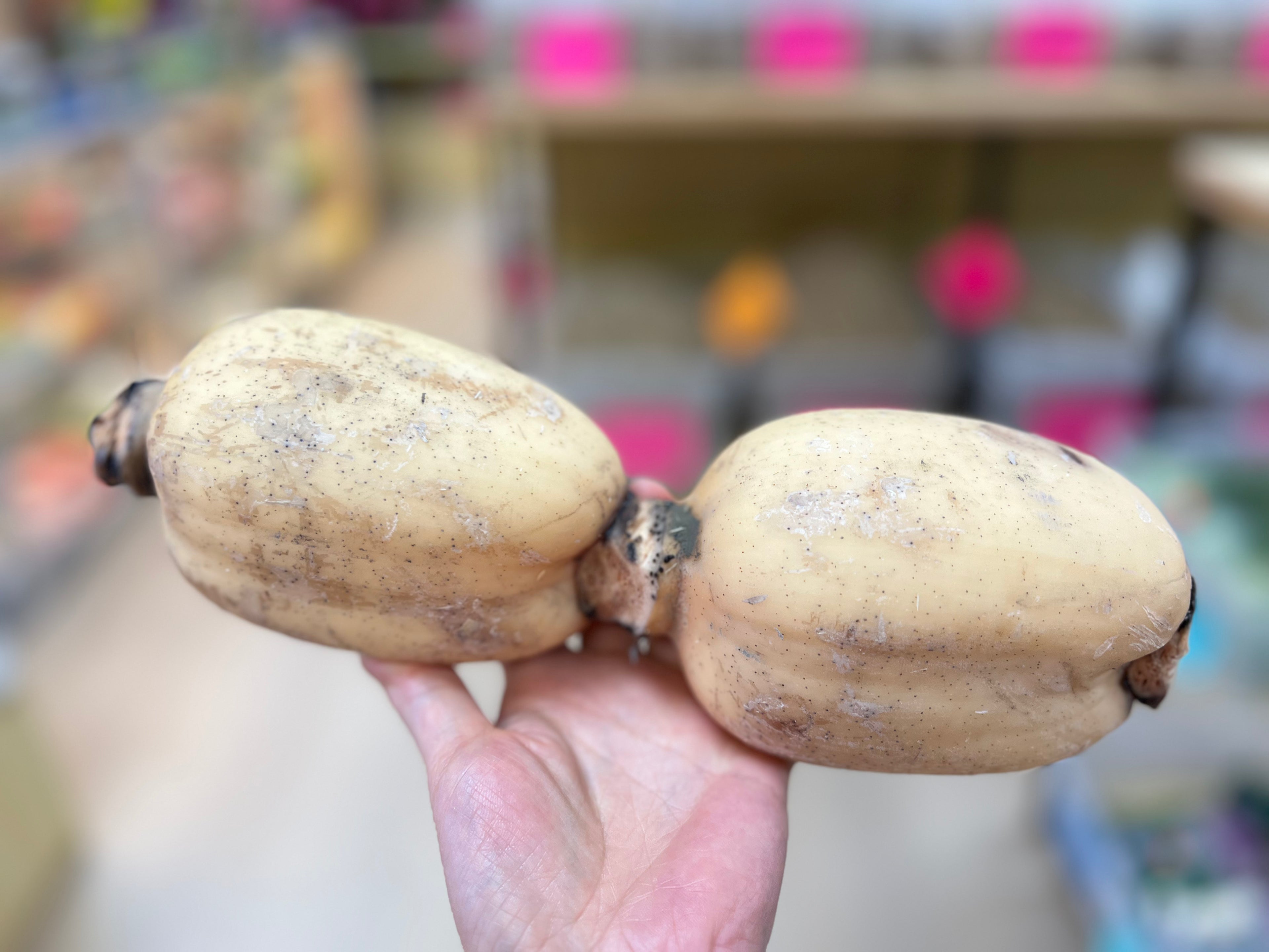 新鲜莲藕约2磅（Bellevue实体店可零售）