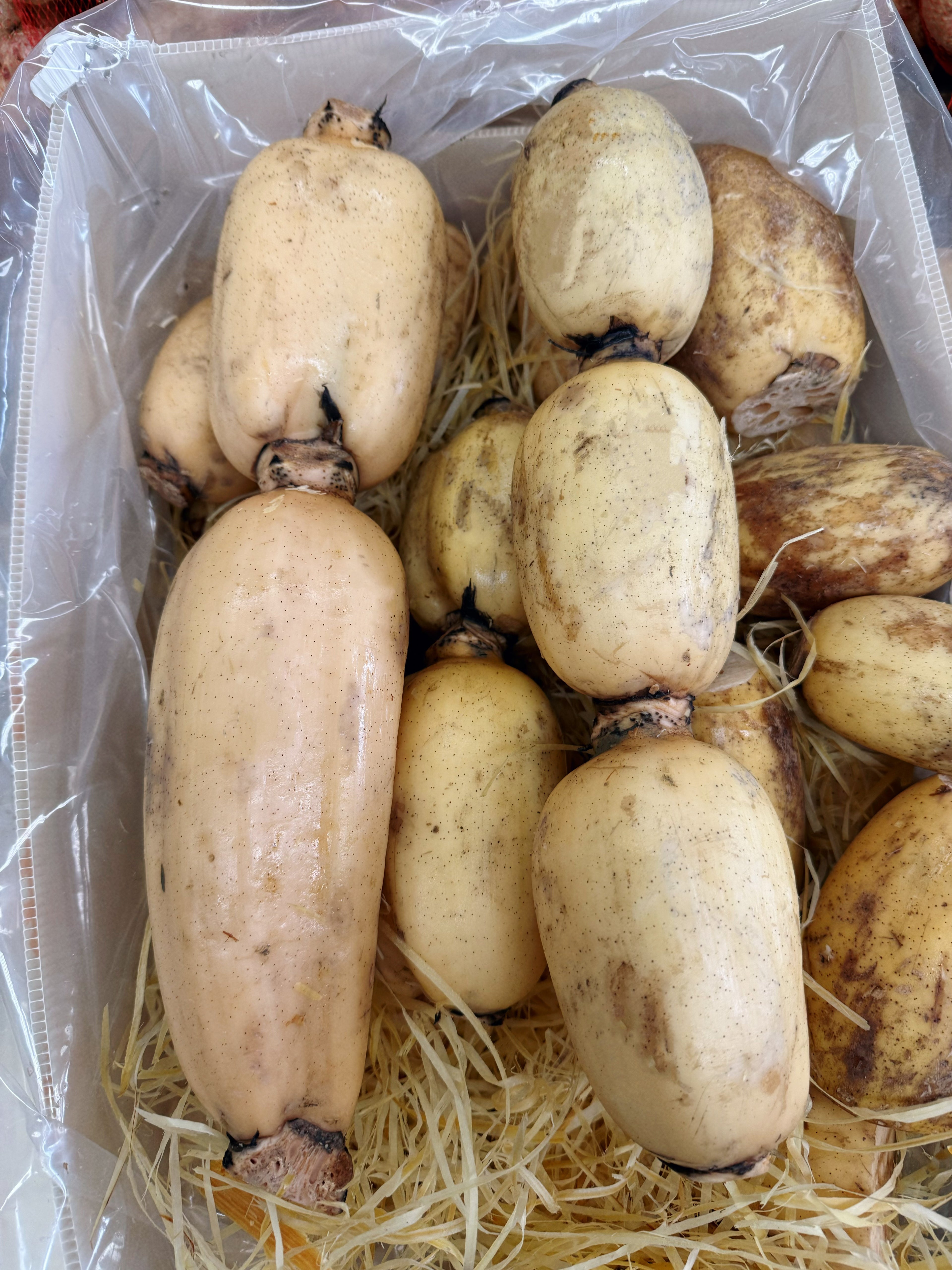 新鲜莲藕约2磅（Bellevue实体店可零售）