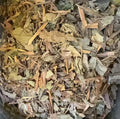 鱼腥草 1磅/包