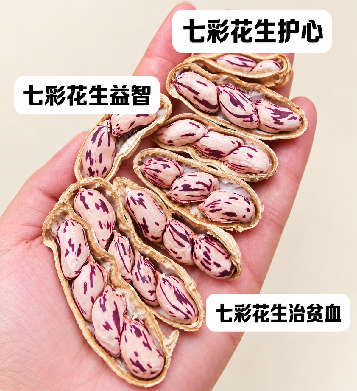 七彩花生（已烤熟） 2磅/份