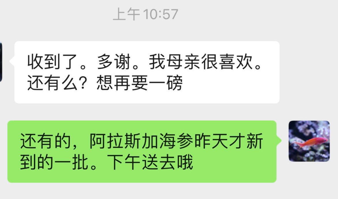 A级野生阿拉斯加红参（海参）1磅15-20只 5磅优惠价 美国中国都可包邮到指定地址