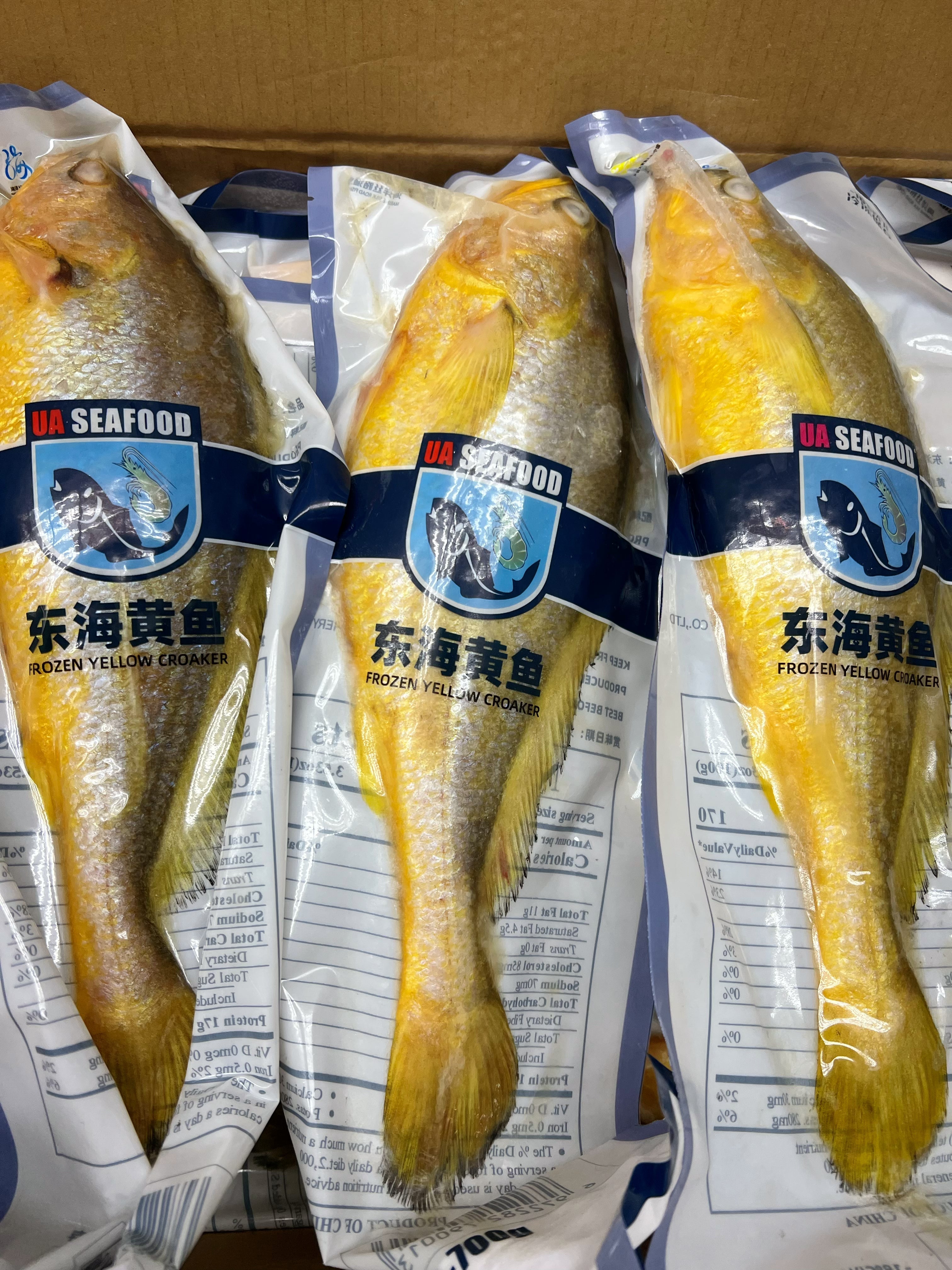东海大黄花鱼22磅/箱约17-21条