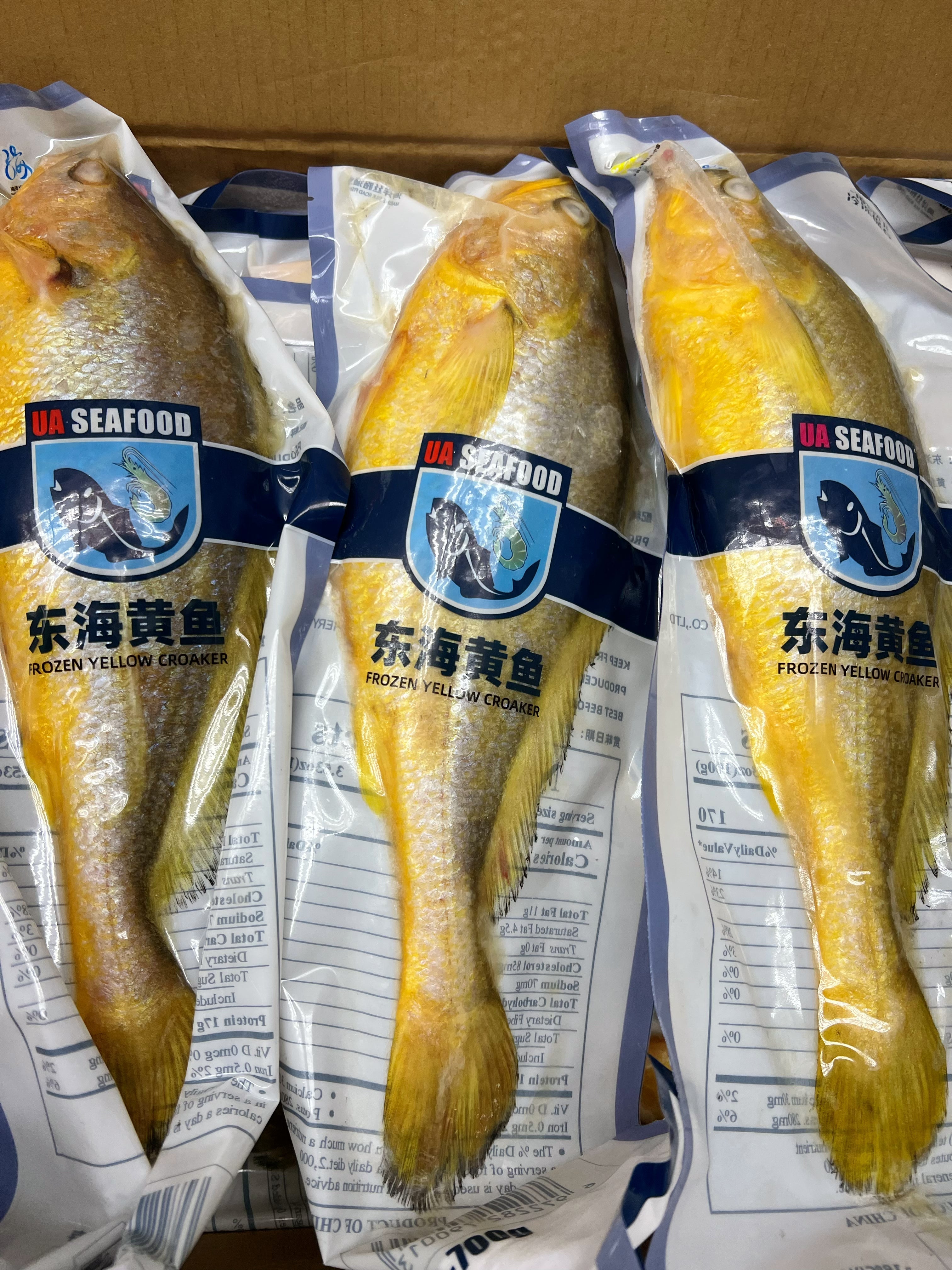 东海大黄花鱼 4条约5.8-6.2磅/份