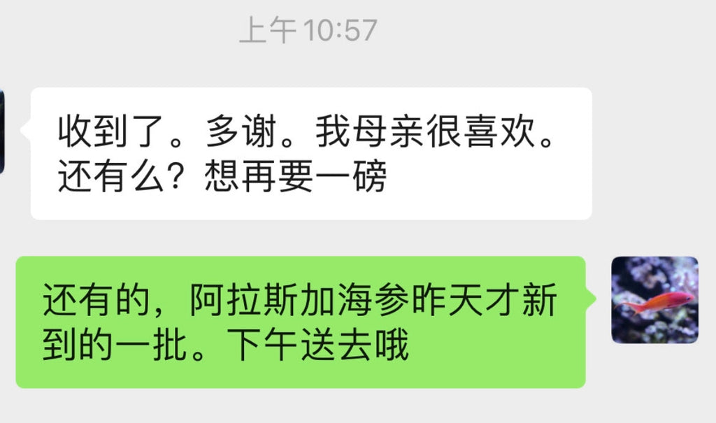 A级野生阿拉斯加红参（海参）1磅15-20只 10磅优惠价 美国中国都可包邮到指定地址