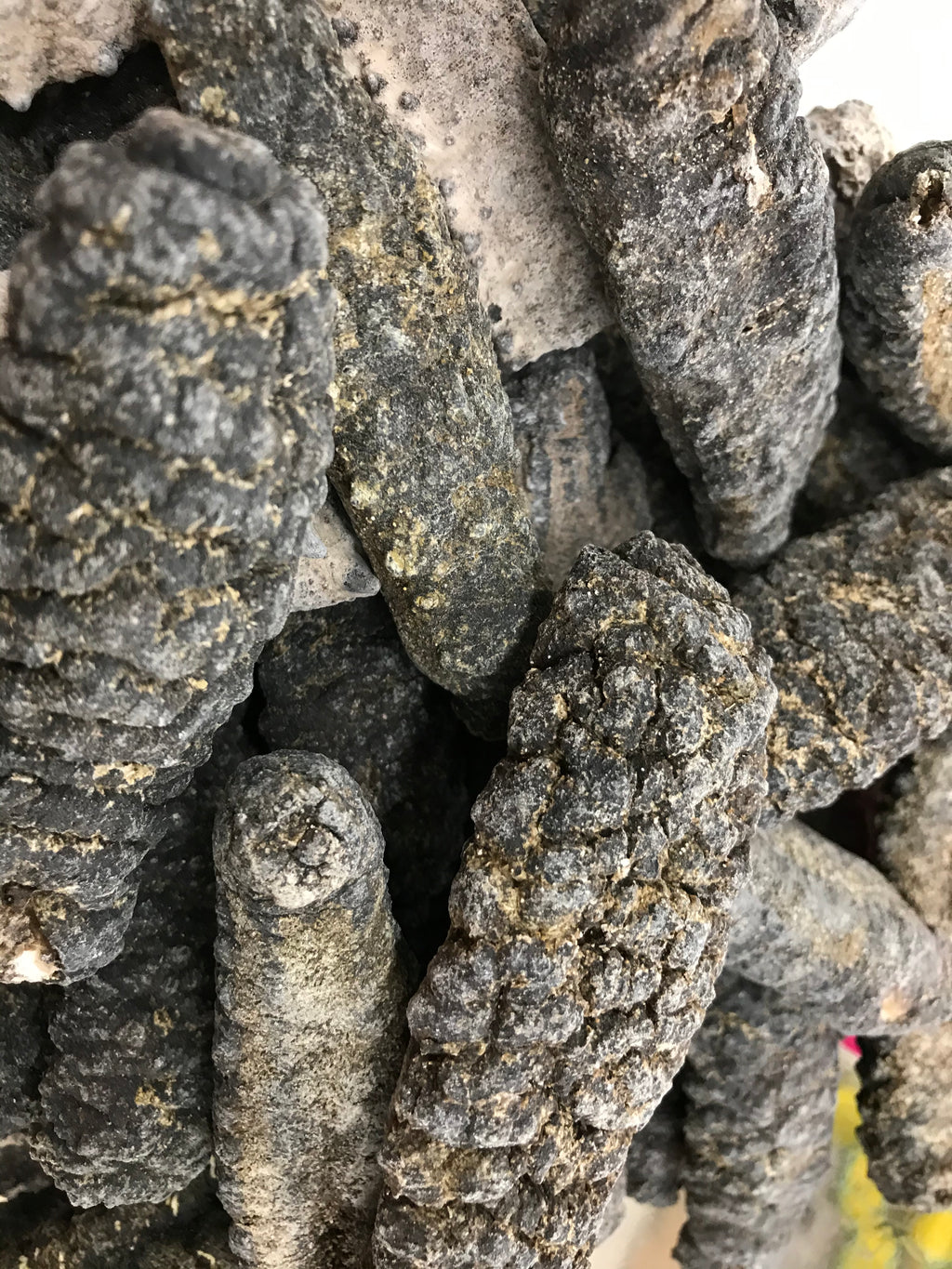 （海参）智利海参 1磅约30只 可供货中国