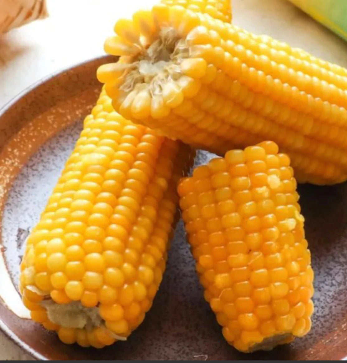 冷冻有机粘玉米（糯玉米） 60根/箱