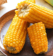 将图片加载到图库查看器，冷冻有机粘玉米（糯玉米） 60根/箱
