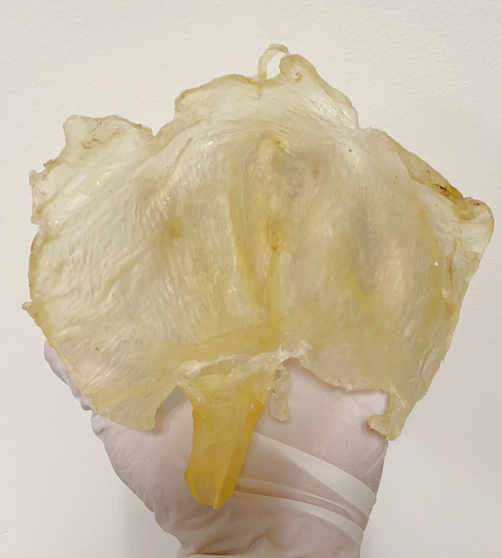 鱼胶（花胶） 特大号蝴蝶胶 3-4头