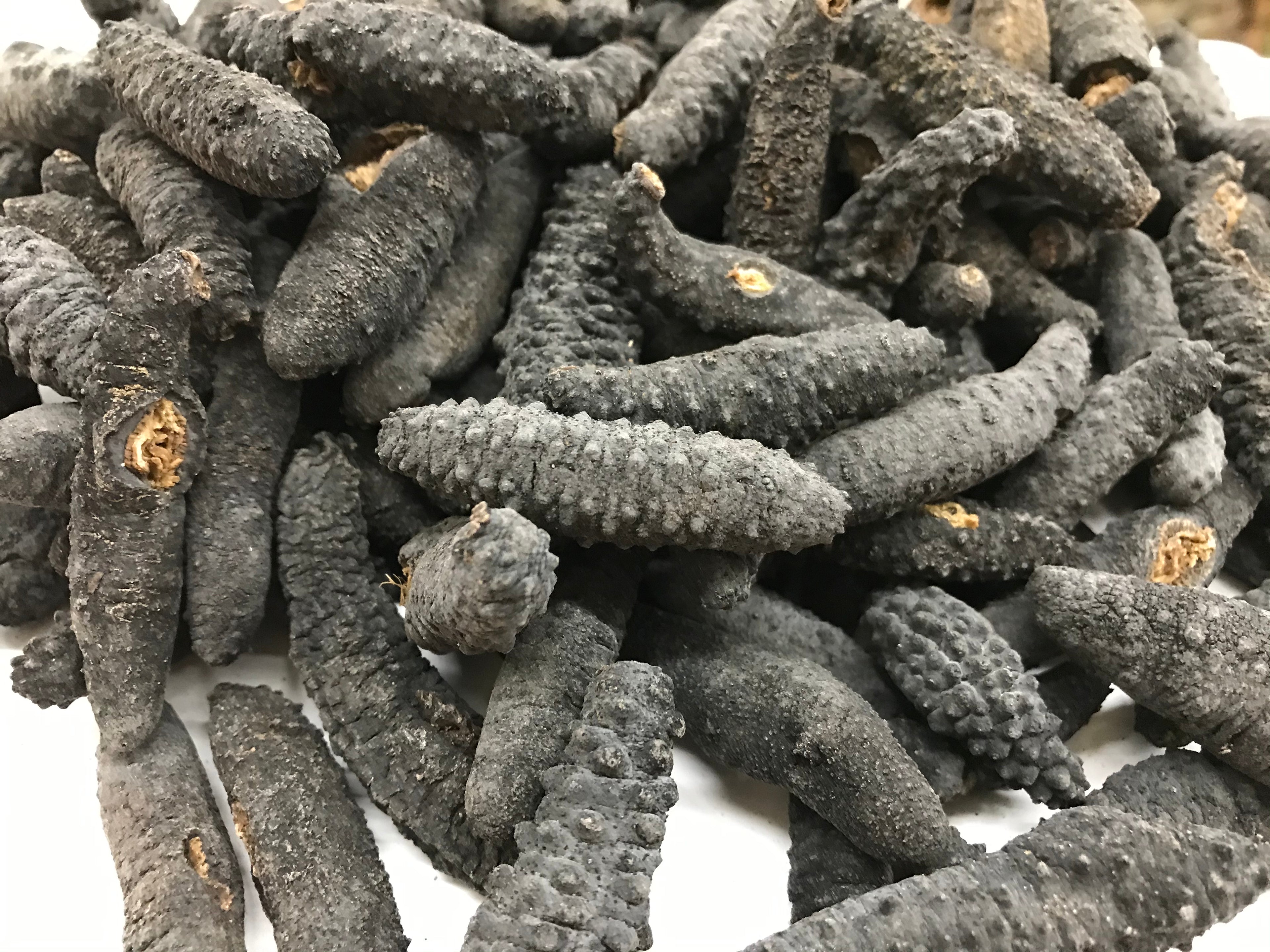 （海参）智利小刺腰参 1磅约90只 可供货中国