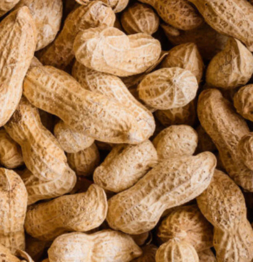 陈皮味花生（已烤熟）3磅