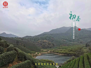 西湖龙井新茶 御牌特级4星（牛皮纸包装）狮峰山产区 250g/包