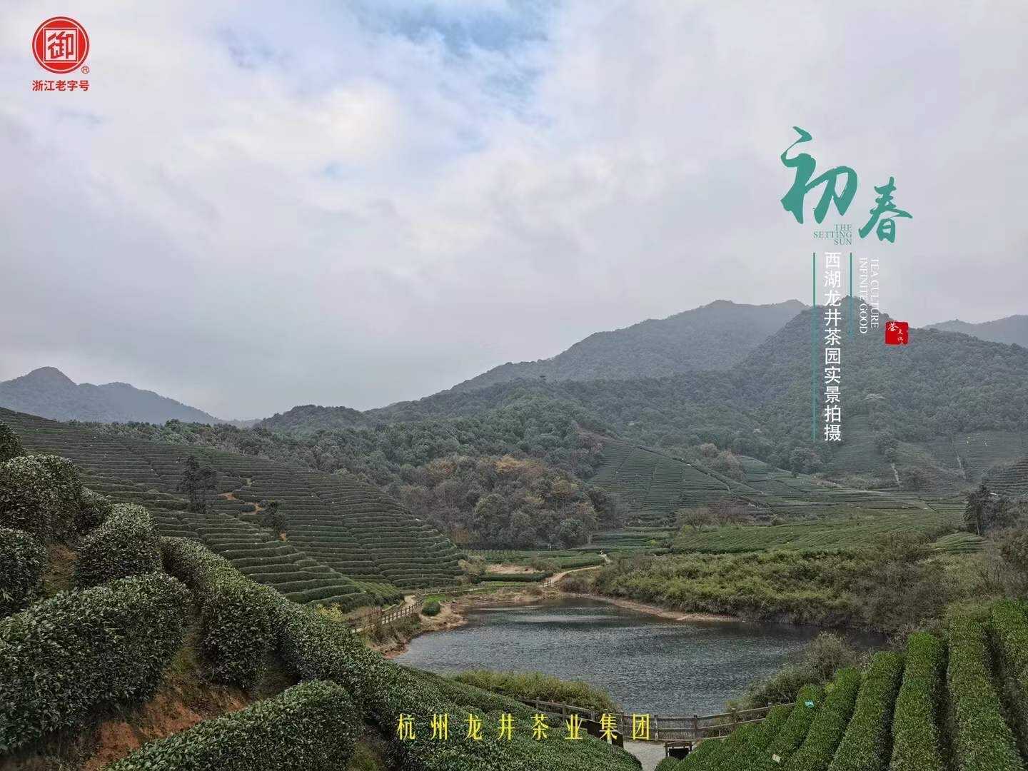 西湖龙井新茶 御牌特级5星（牛皮纸包装）狮峰山产区 250g/包