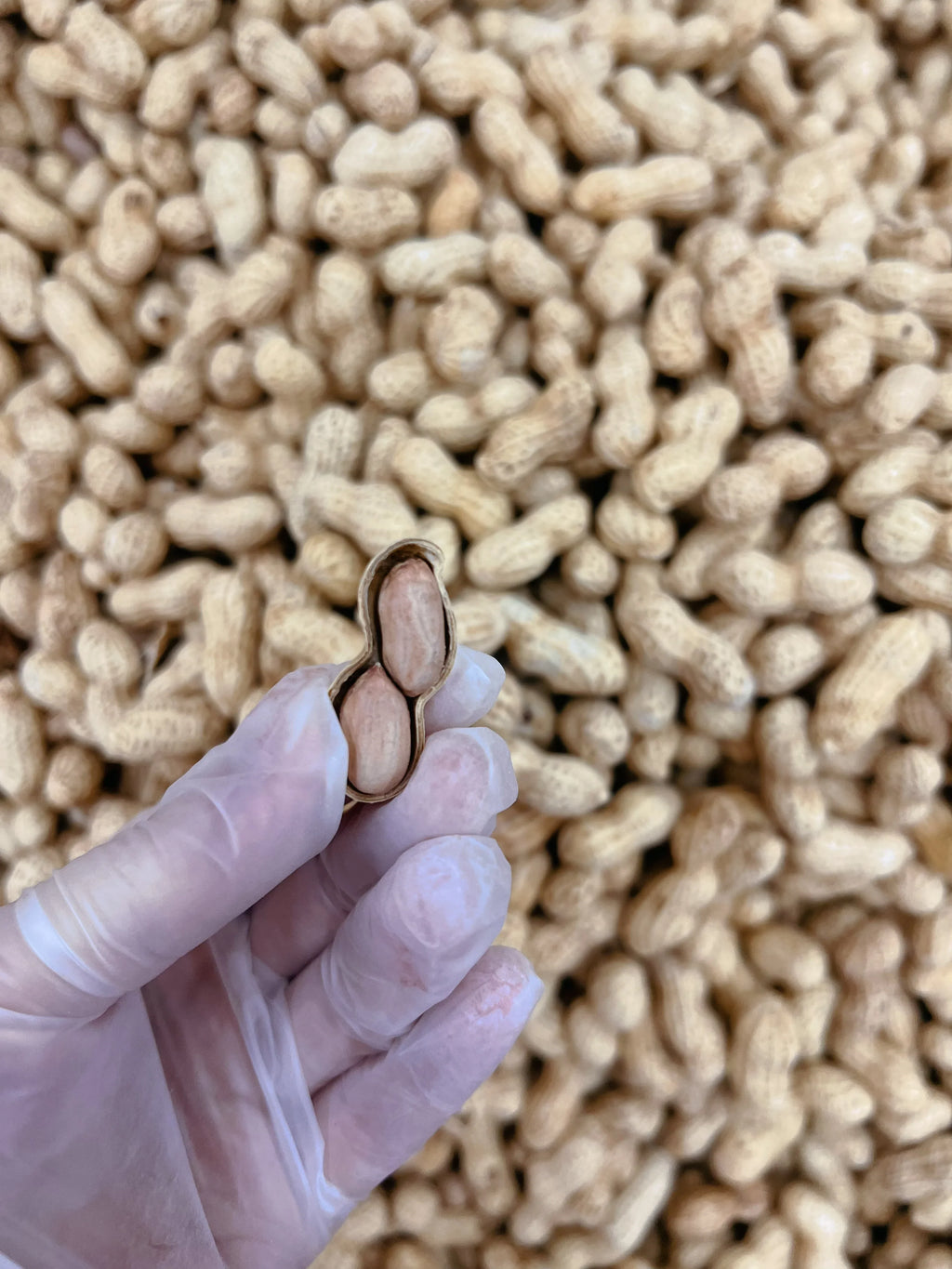 陈皮味花生（已烤熟）3磅