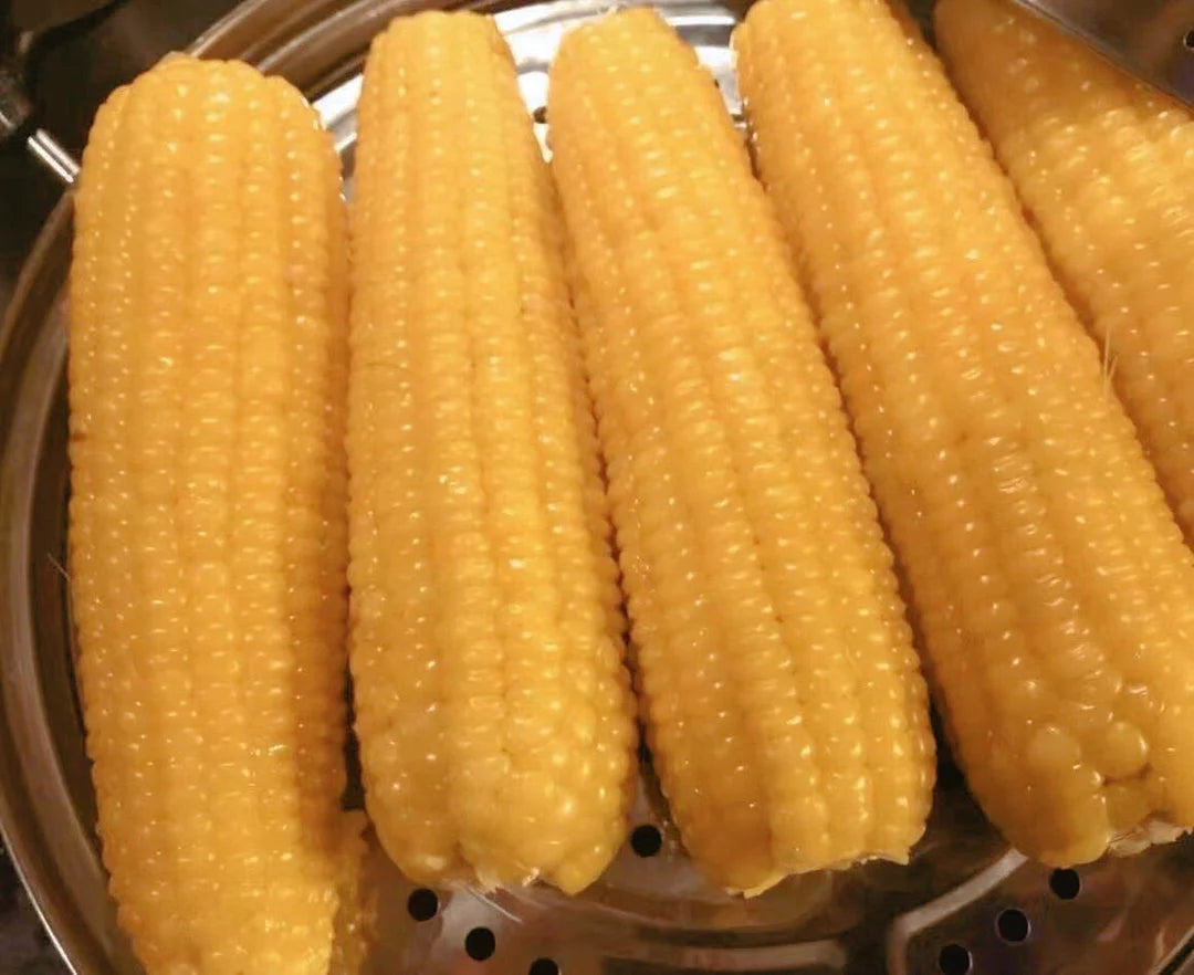 冷冻有机粘玉米（糯玉米） 30根/半箱