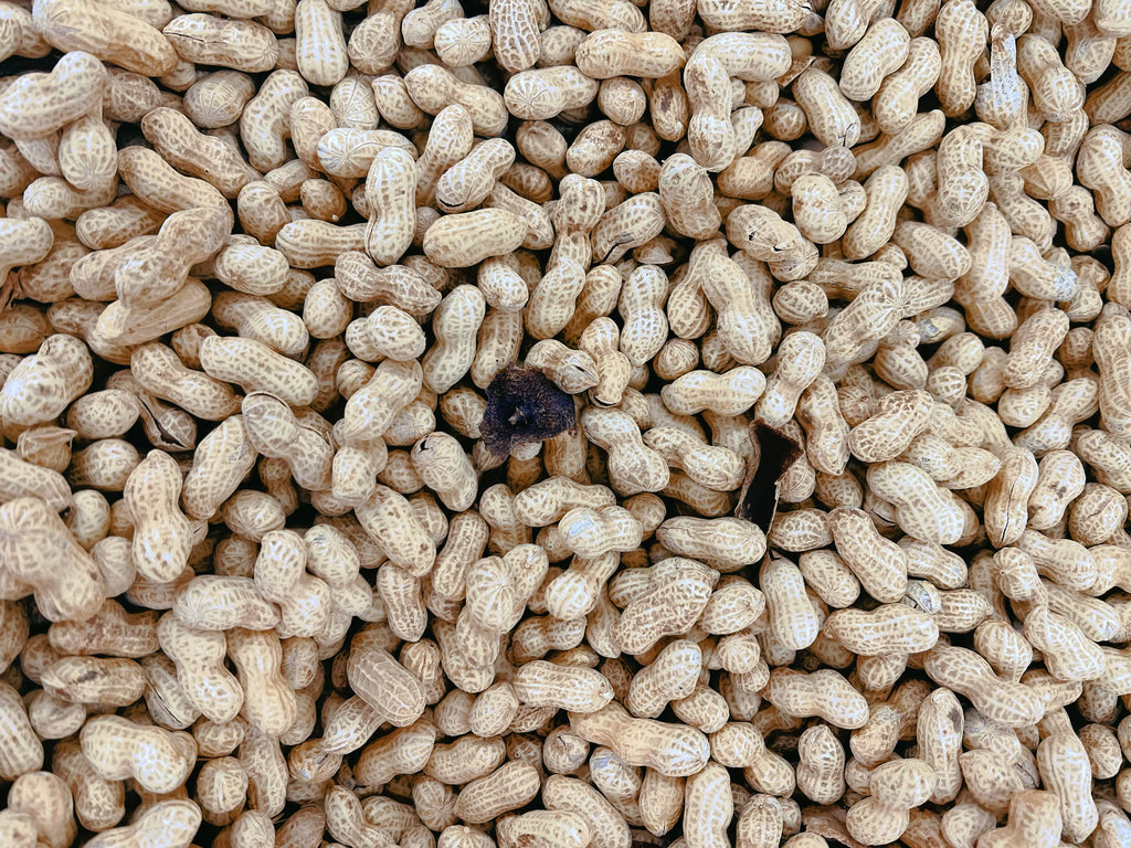 陈皮味花生（已烤熟）3磅