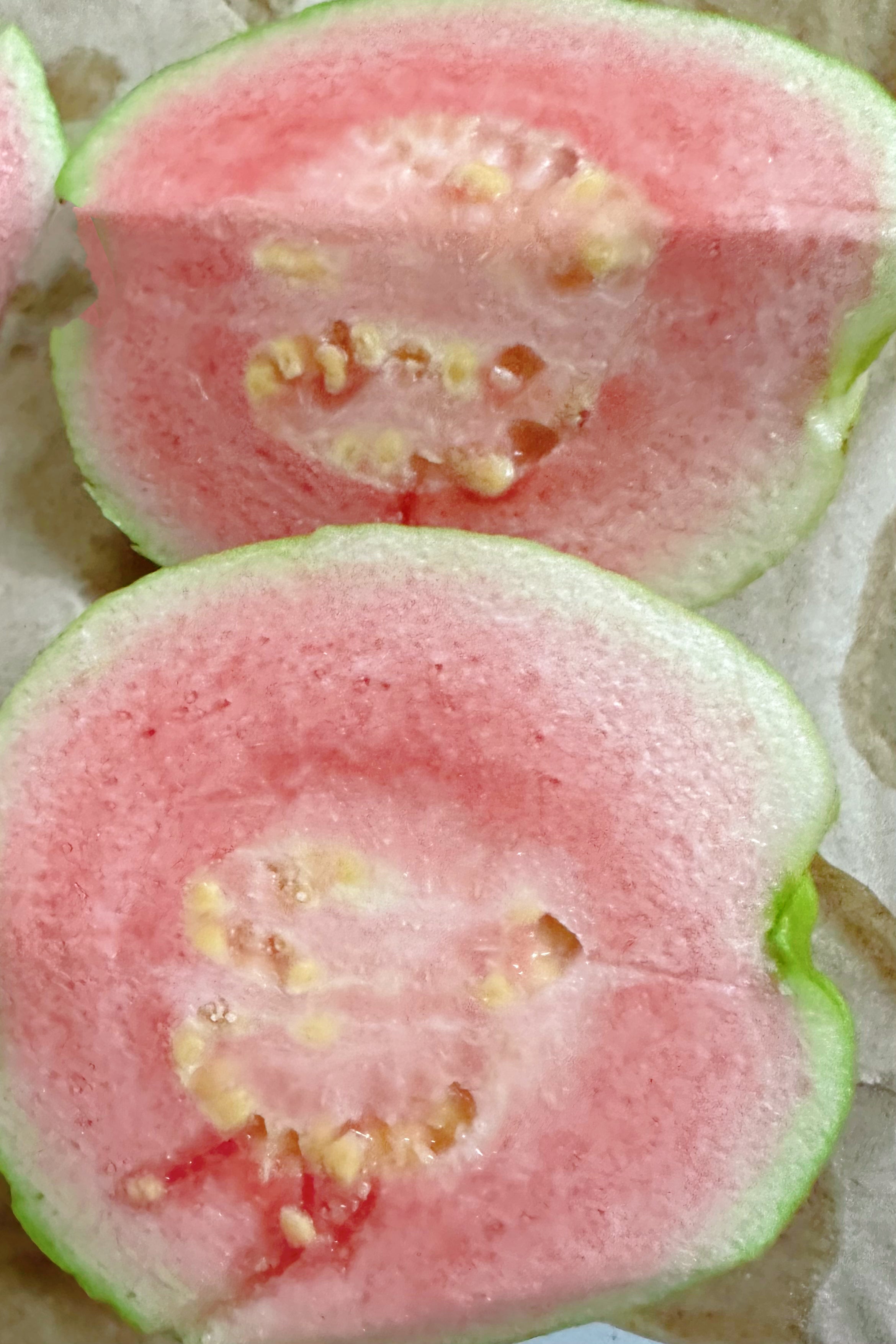 新鲜粉芭乐约5磅（实体店可零卖）